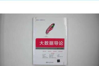 大数据论文实操手册：当学术研究遇上数据洪流