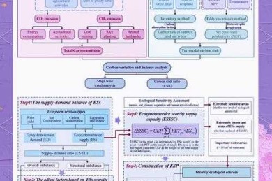 从菜鸟到高手：工科mac论文怎么画图才能让审稿人眼前一亮？