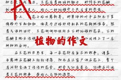 从选题到投稿：植物论文怎么写才能让编辑眼前一亮？