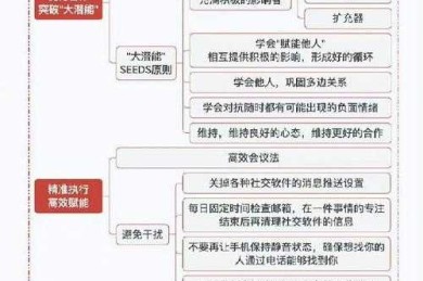 基于自我调节理论的拖延行为干预：可落地的执行力培养方案