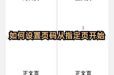 论文页码怎么设置连续