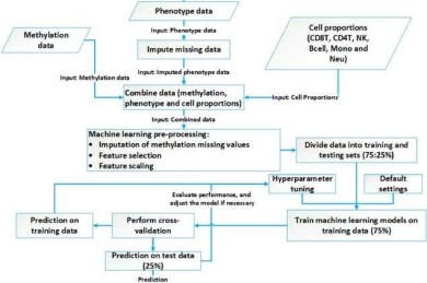 英国论文要写什么？从开题到答辩的全流程拆解