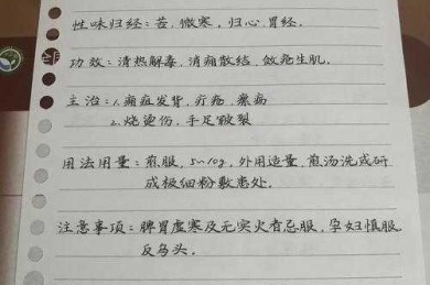破解学术迷局：实战指南教你如何鉴别白芨论文