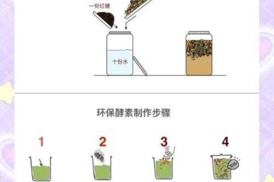 手把手教你撰写高质量酵素作用论文：从实验台到期刊的完整指南