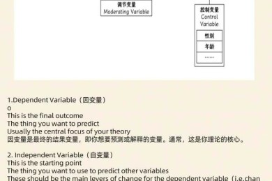 揭秘：什么是模型效应论文背后的学术密码？