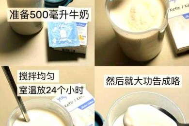 从开题到发表：食品酸奶论文前言怎么写的全流程拆解