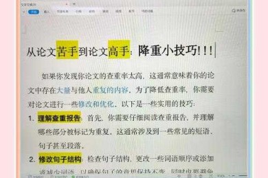 论文查重怎么调？掌握这些核心技巧，让你的论文一次过关！