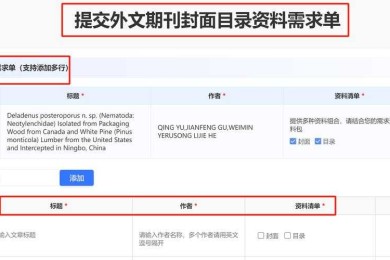 从困惑到清晰：什么论文有英文目录？学术写作中的国际化细节