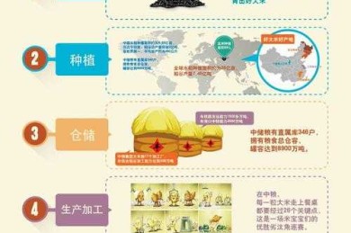 从田间到餐桌：粮食价值提升的多维路径研究