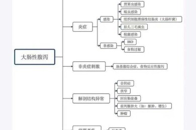 兽医研究的探路灯：解密动物医学论文的核心价值与实践密码