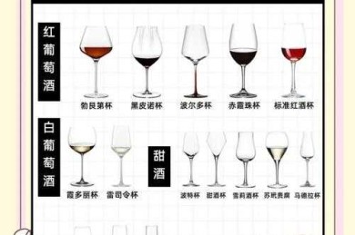 从实验室到酒杯：一篇葡萄酒感官评价论文的科研实战指南
