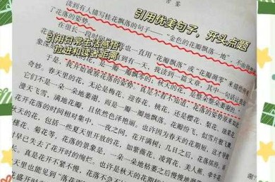 名著阅读：议论文写作的隐秘武器