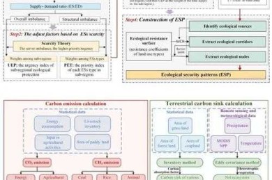 技术博主视角：如何写绘画作品题材论文的完整研究路径