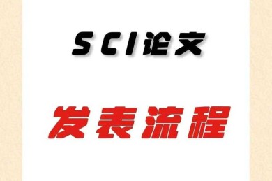 从投稿到发表：全面解析论文待审状态及其应对策略