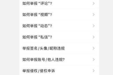 科研禁区：学术不端量表中的抄袭等级识别