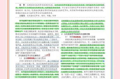 综艺节目论文怎么写