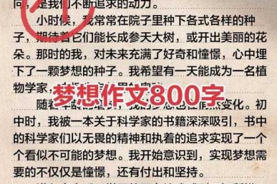 梦想实现的认知密码：议论文写作中的自我效能感研究