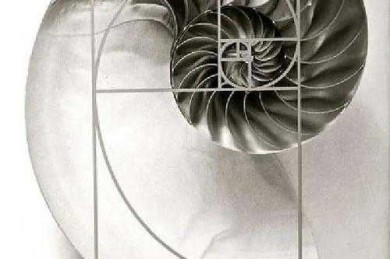 从拆解到建构：议论文分论点设计的黄金法则