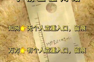 解密论文查重包括什么：学术写作必知的避坑指南