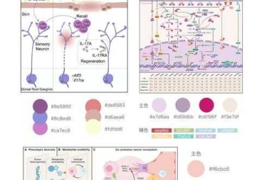 科研配色进阶手册：揭秘顶刊论文常用的六色配图法则