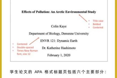 10000字英文论文写作全指南：从本科到博士的实际差异解析