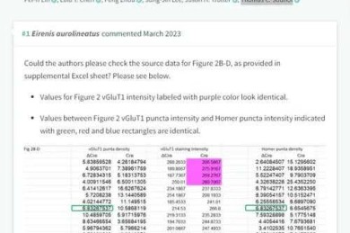 学术侦探的利器：如何识别论文数据造假