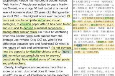 还在大海捞针？聊聊“论文英文文献是什么”的核心逻辑与研究闭环