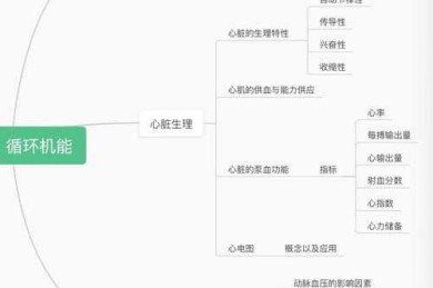 体能概念的解构与重构：从生理指标到功能表现的学术探索