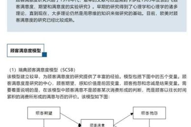 专家解读：如何让客户满意论文
