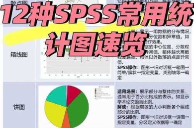 论文中正负符号背后的多维含义解析：从统计分析到结果解读