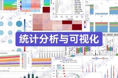 搞定论文图的秘密武器：从零基础到期刊级可视化表达