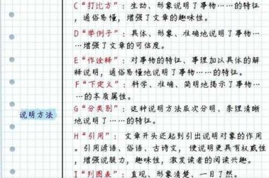 从课堂到考场：议论文结构运用的实战密码