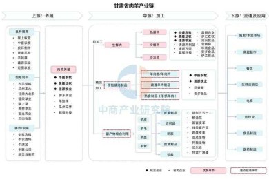 解码学术生产工具链：当代大学生论文写作的全景图鉴