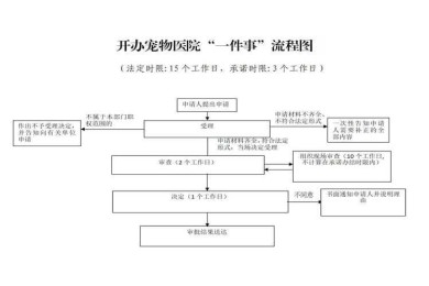 还在为论文发愁？来看这篇“宠物医院论文怎么写”的保姆级指南