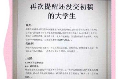 从菜鸟到专家：如何适应我的职场论文写作全攻略