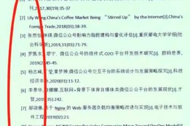 论文标题这些怎么对齐