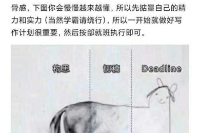 从零到一：如何写教学论文的实战指南（附赠避坑手册）