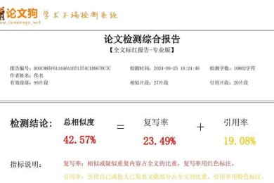 当学术侦探：论文外审人工查重的实战方法论