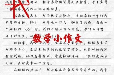 被问爆了！四年级数学小论文怎么写？看完这篇孩子轻松拿奖