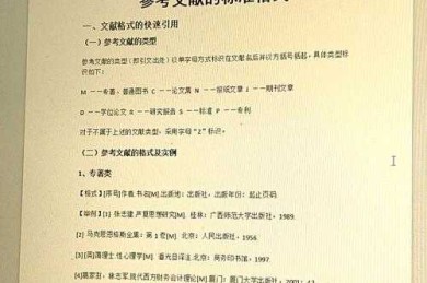 别再踩坑了！论文参考条目怎么标注才能让审稿人眼前一亮