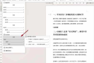 用wps怎么检查论文