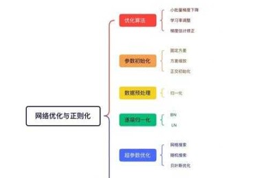 从词表到思维：议论文语料库如何重塑你的词汇神经网络