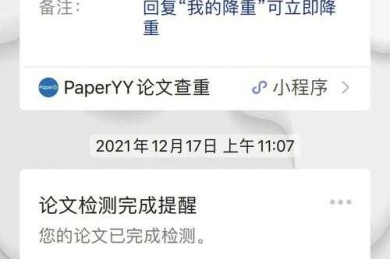 别再大海捞针了！让我来告诉你“怎么查别人的论文”才能又快又准