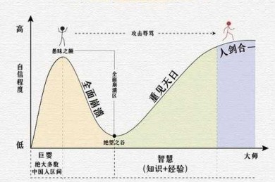 从技能培训到职场突围：破解就业率提升的实证路径