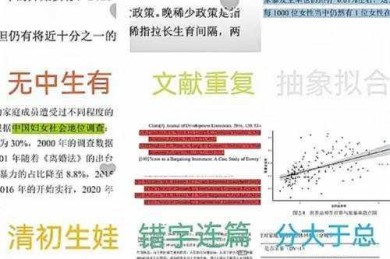 论文评阅是什么？揭秘学术圈的质量守门人