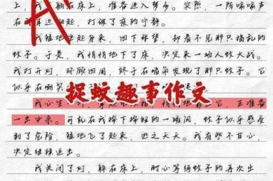 还在为开题发愁？看这篇“亲子野趣活动论文怎么写”全攻略！