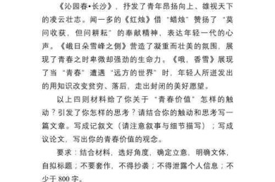 当青年提笔时：议论文写作中的价值观建构与表达困境