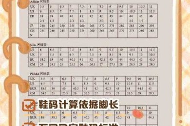 鞋码怎么算论文数据：从概念混淆到研究落地的完整指南