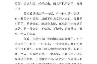 如何看待孤独论文