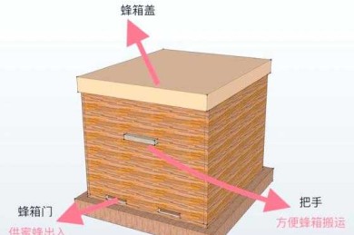 揭秘：养蜂如何提高生产力论文的五个关键突破点